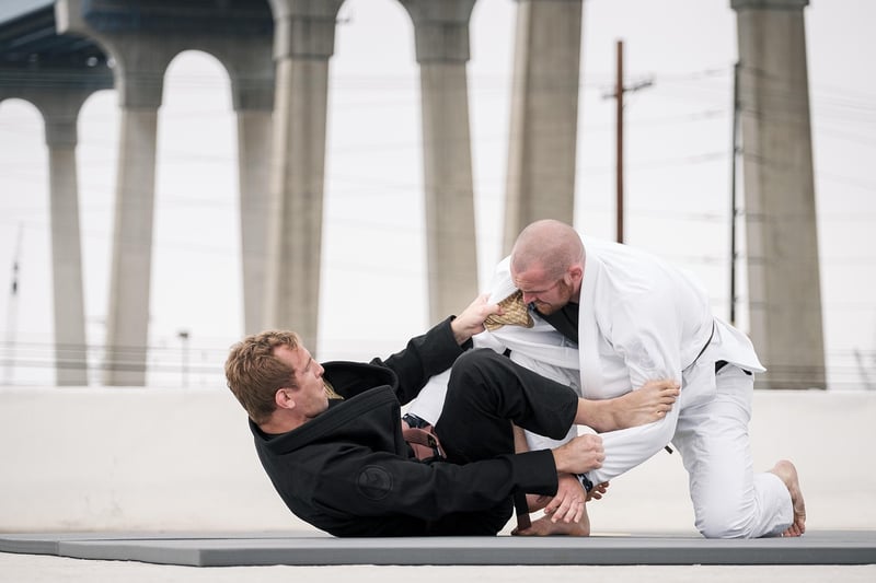 Jiu-Jitsu Fight
